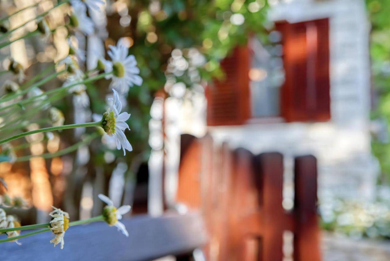 Holiday Home Giardino Marino Pomer Dış mekan fotoğraf