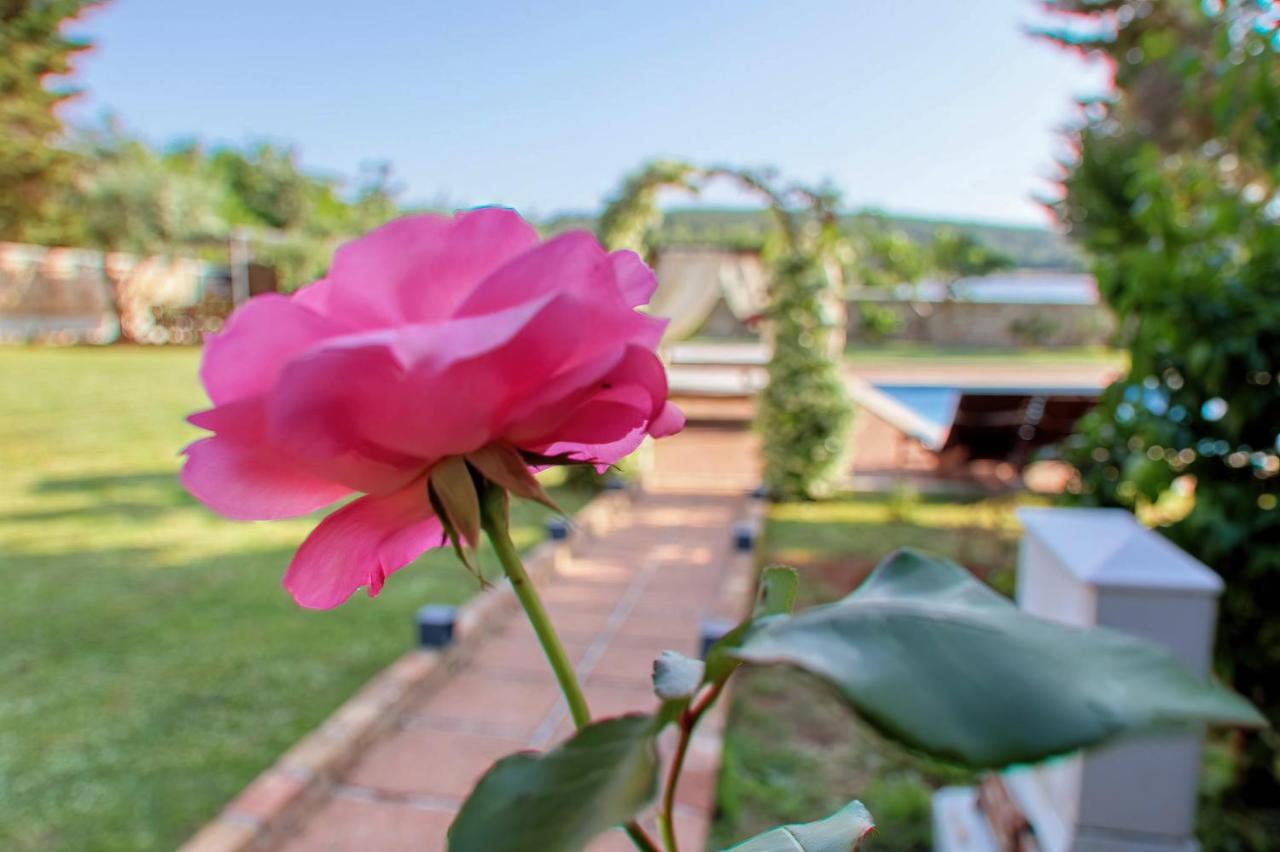 Holiday Home Giardino Marino Pomer Dış mekan fotoğraf